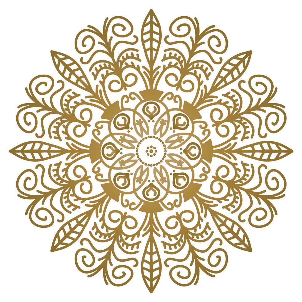 Mandala pattern abstract floral ornament vector