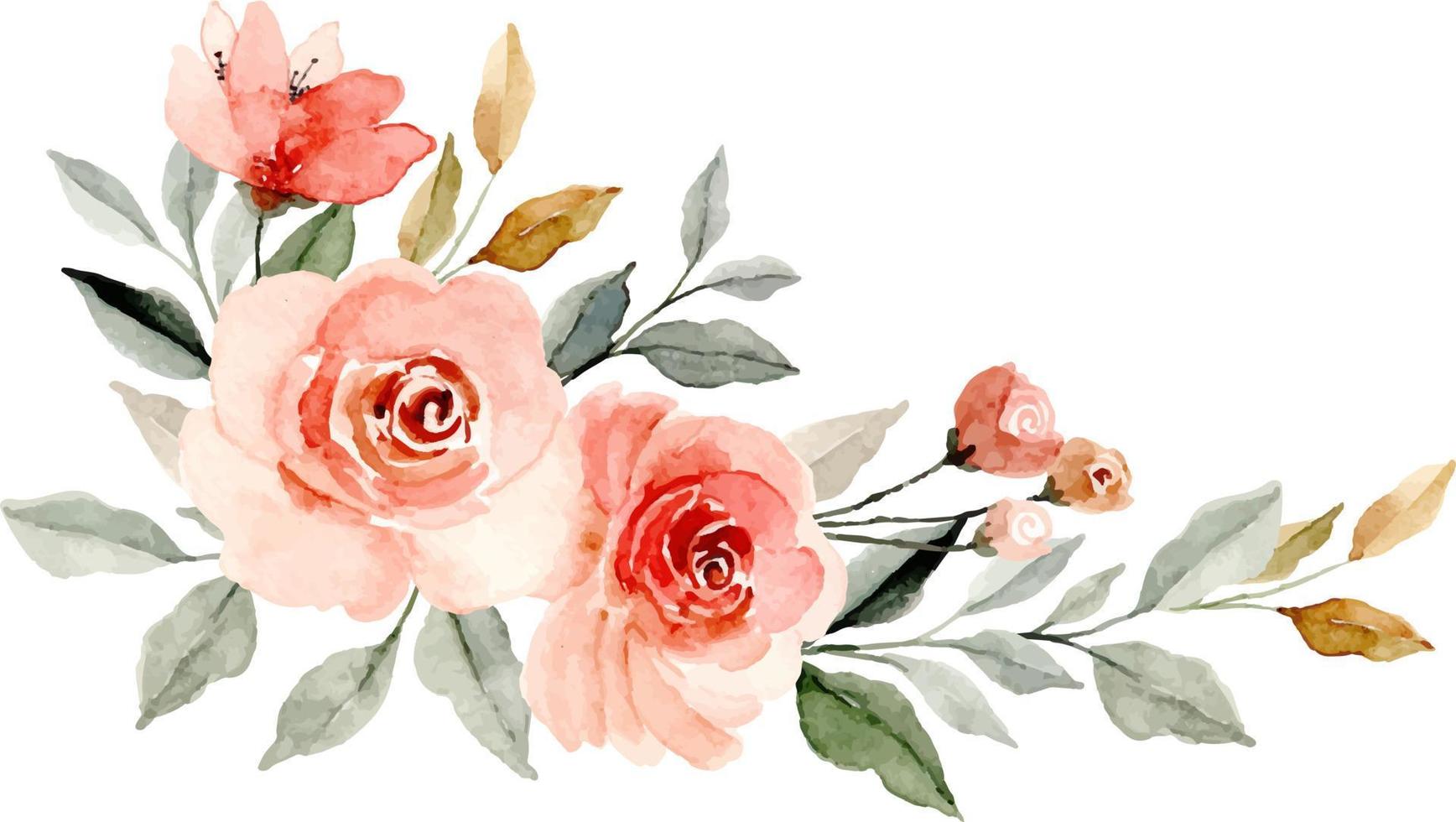 Watercolor rose flower bouquet vector