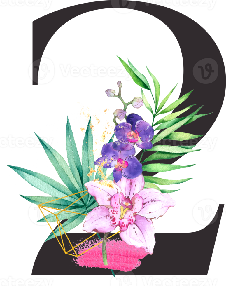 Alphabet and number Orchid flower watercolor wedding letter png