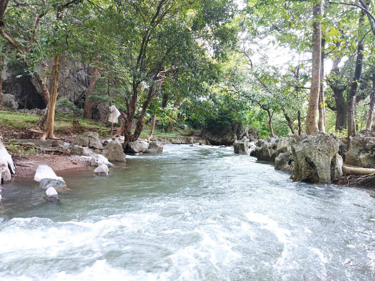 River view at rainforest with green trees photo