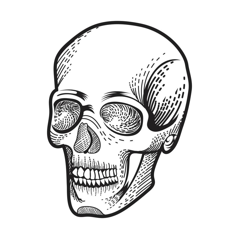 Human skull balck and white vector design