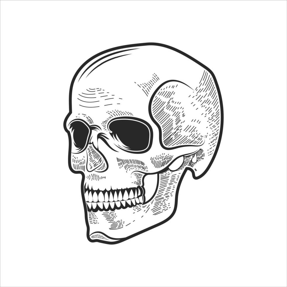 humano cráneo negro y blanco vector diseño