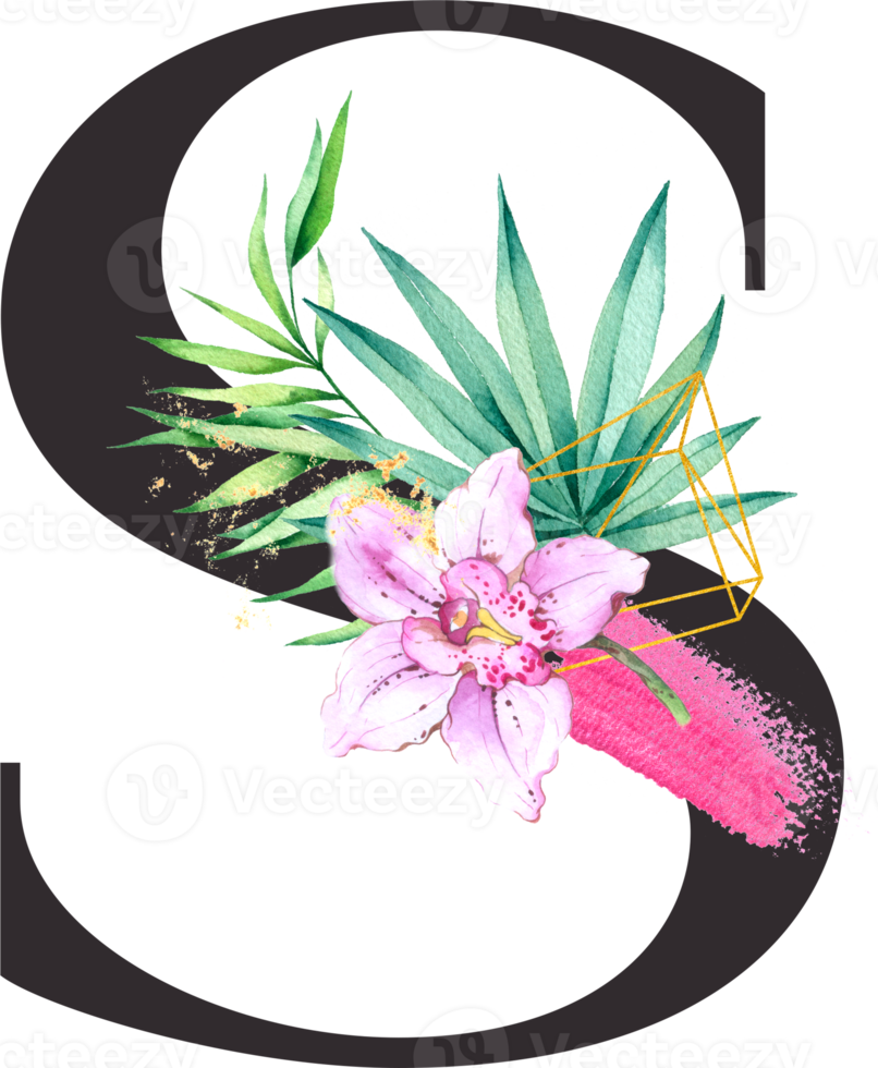 alfabeto e numero orchidea fiore acquerello nozze lettera png