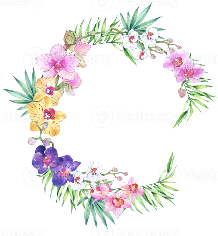 Orchid flower wreath and bouquet watercolor png