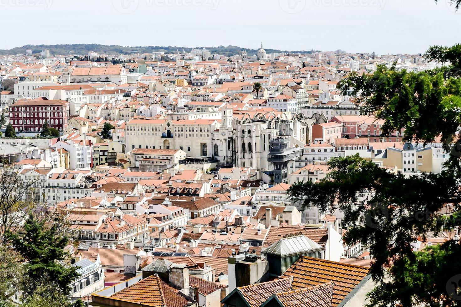 Buildings in the city photo