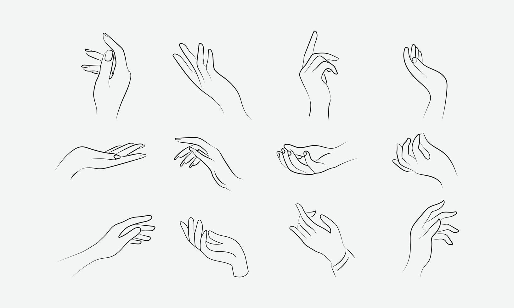 Vector hand drawing outline illustration and art vector set.