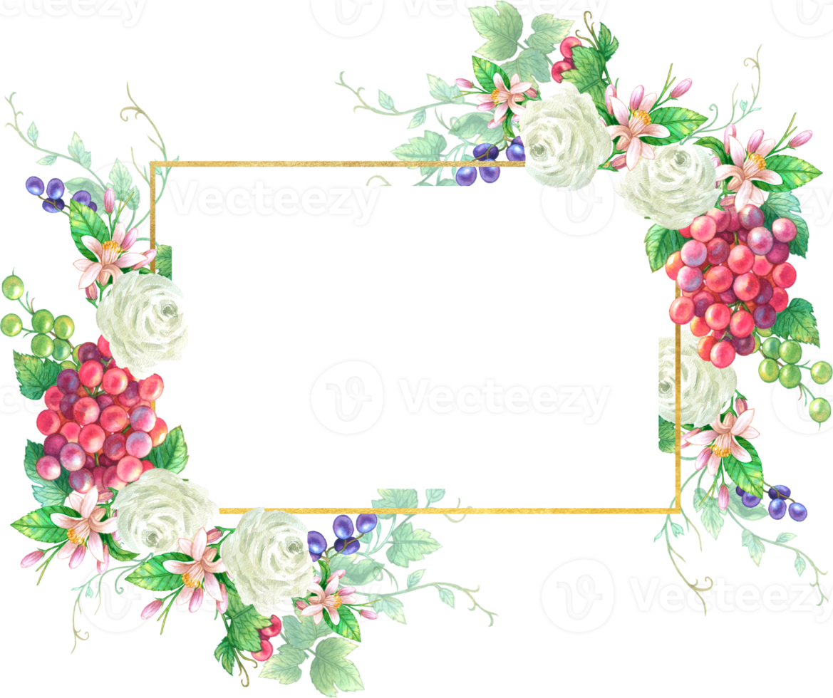 Grape fruit and flower frame watercolor png