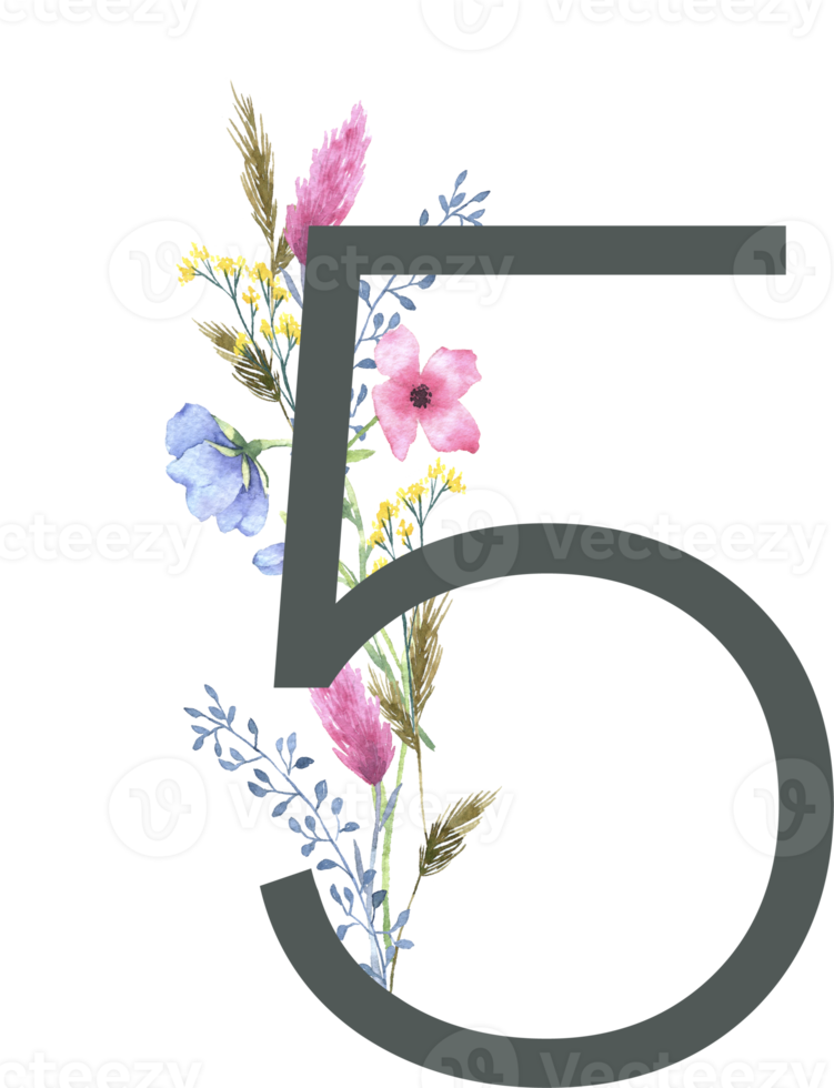 Modern Alphabet and number wildflower watercolor png