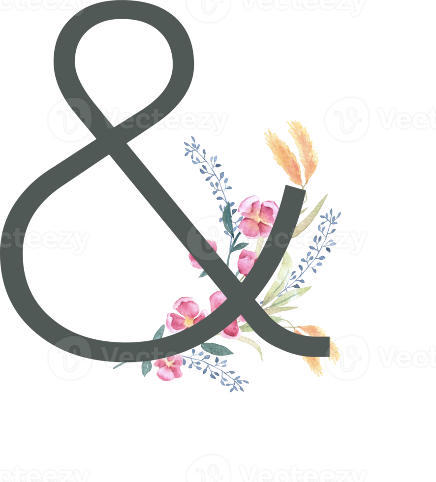Modern Alphabet and number wildflower watercolor png