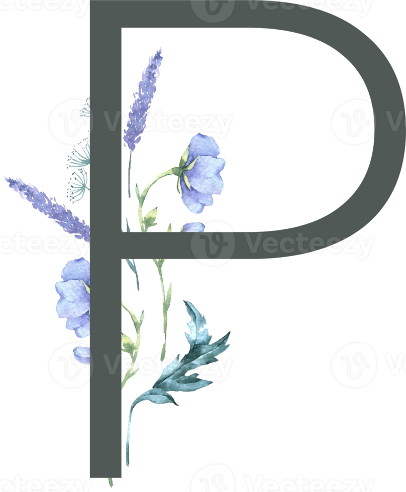 Modern Alphabet and number wildflower watercolor png