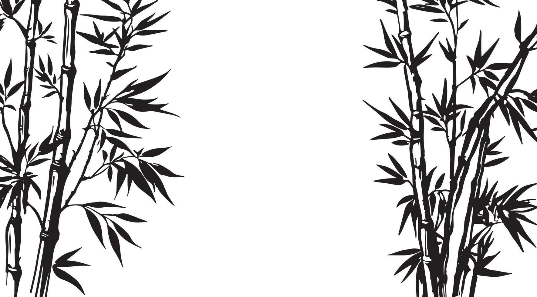 Bamboo tree, Hand drawn style. Vector. vector