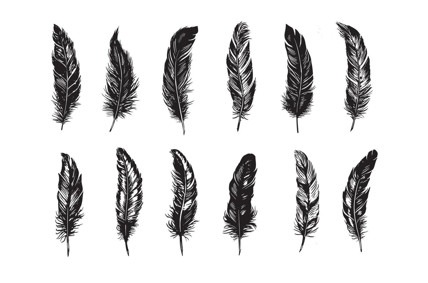Hand drawn feather on white background vector