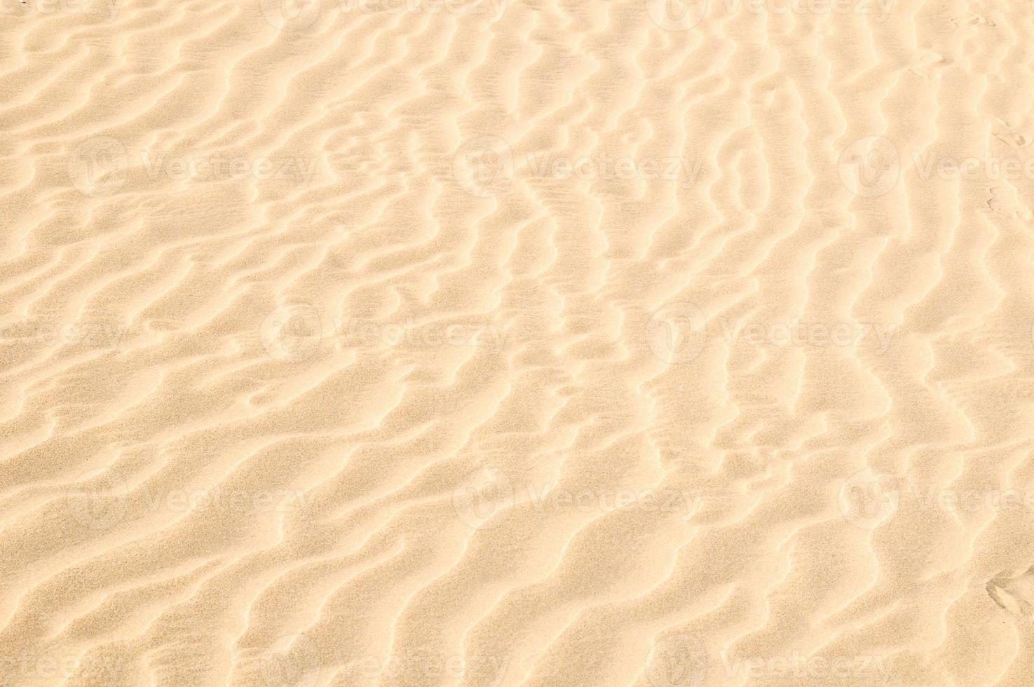olas en el arena foto