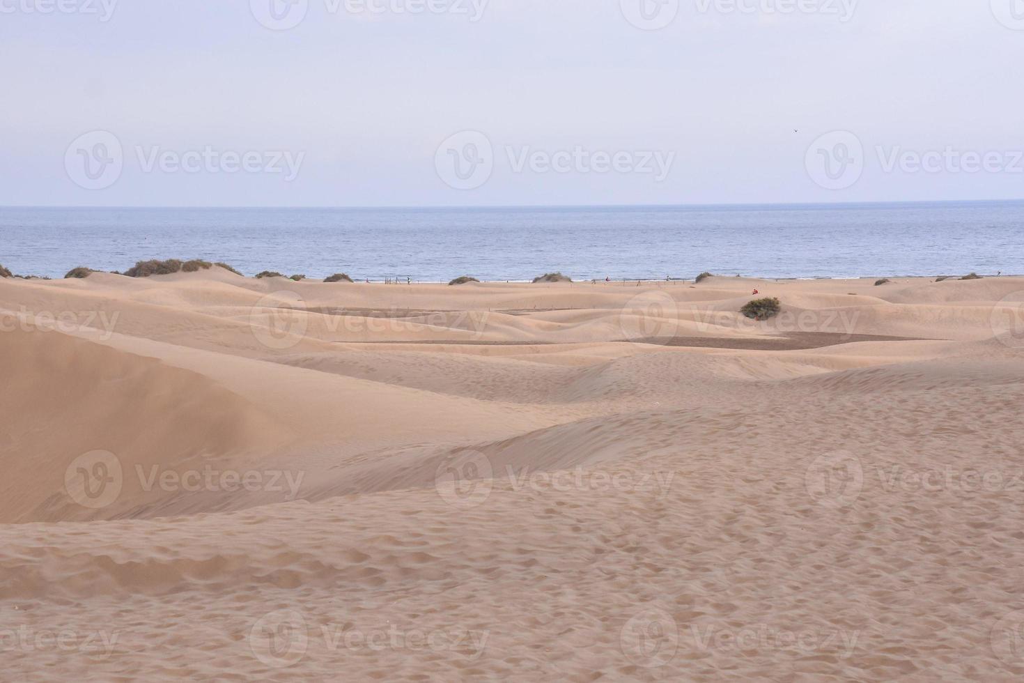 Scenic view of the shore photo