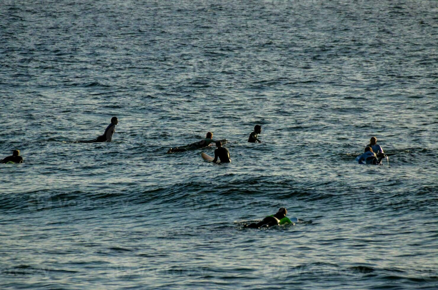 People surfing in the sea photo