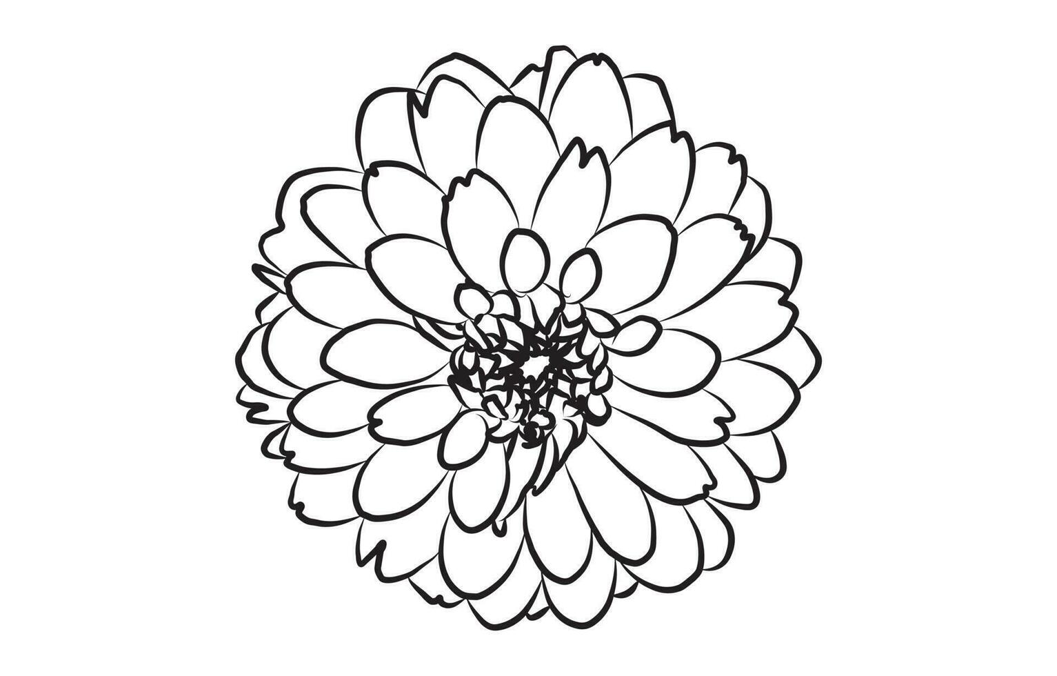 Flower vector graphic design, for prints, vector illustration