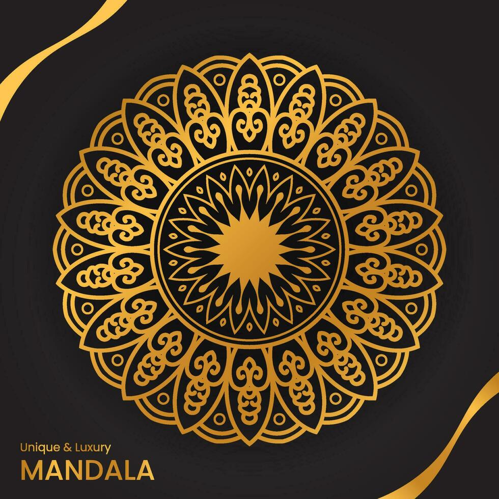 luxury mandala pattern design template vector