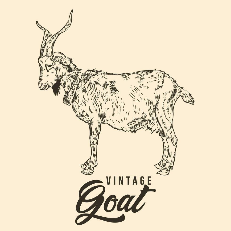 Vintage Hand Drawing Goat Sketch Vector Illustration