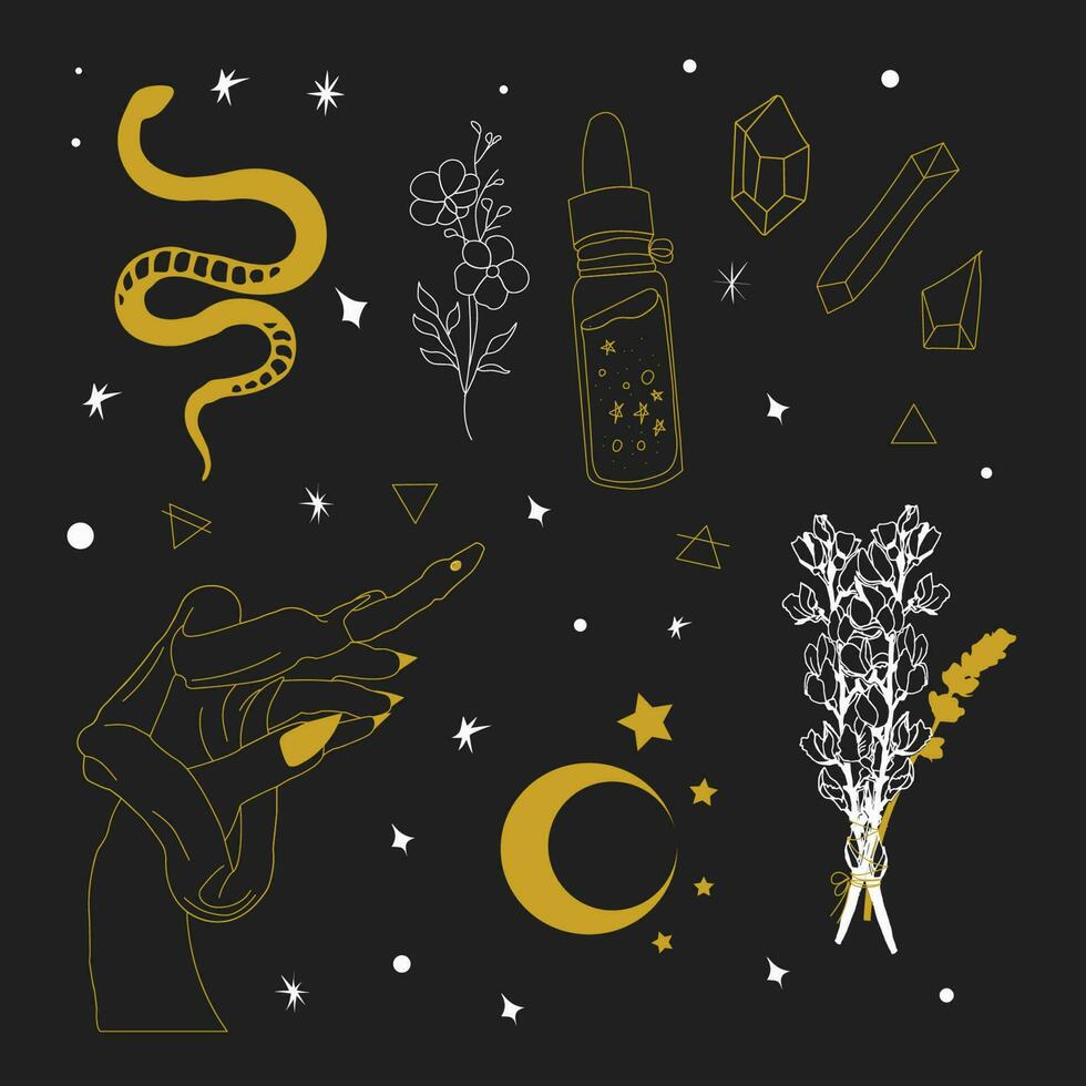 magical witchcraft elements collection. vector