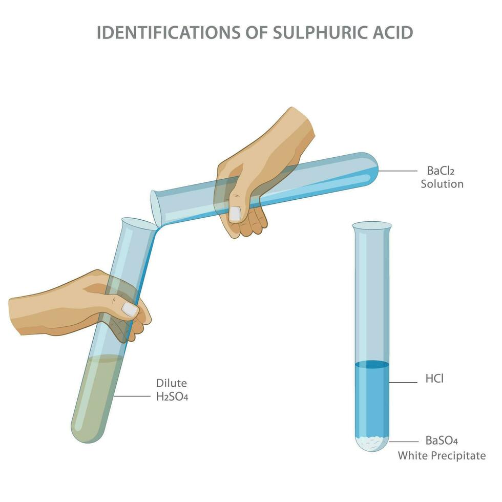 Sulfuric acid can be identified through a barium chloride test, which results in a white precipitate vector