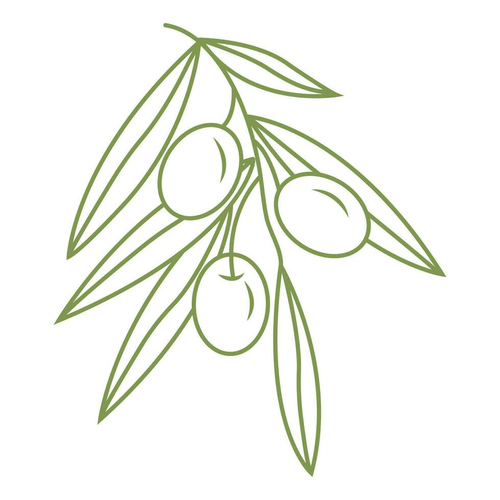 Olive branch. Simple icon in doodle style for your design. Vector illustration.