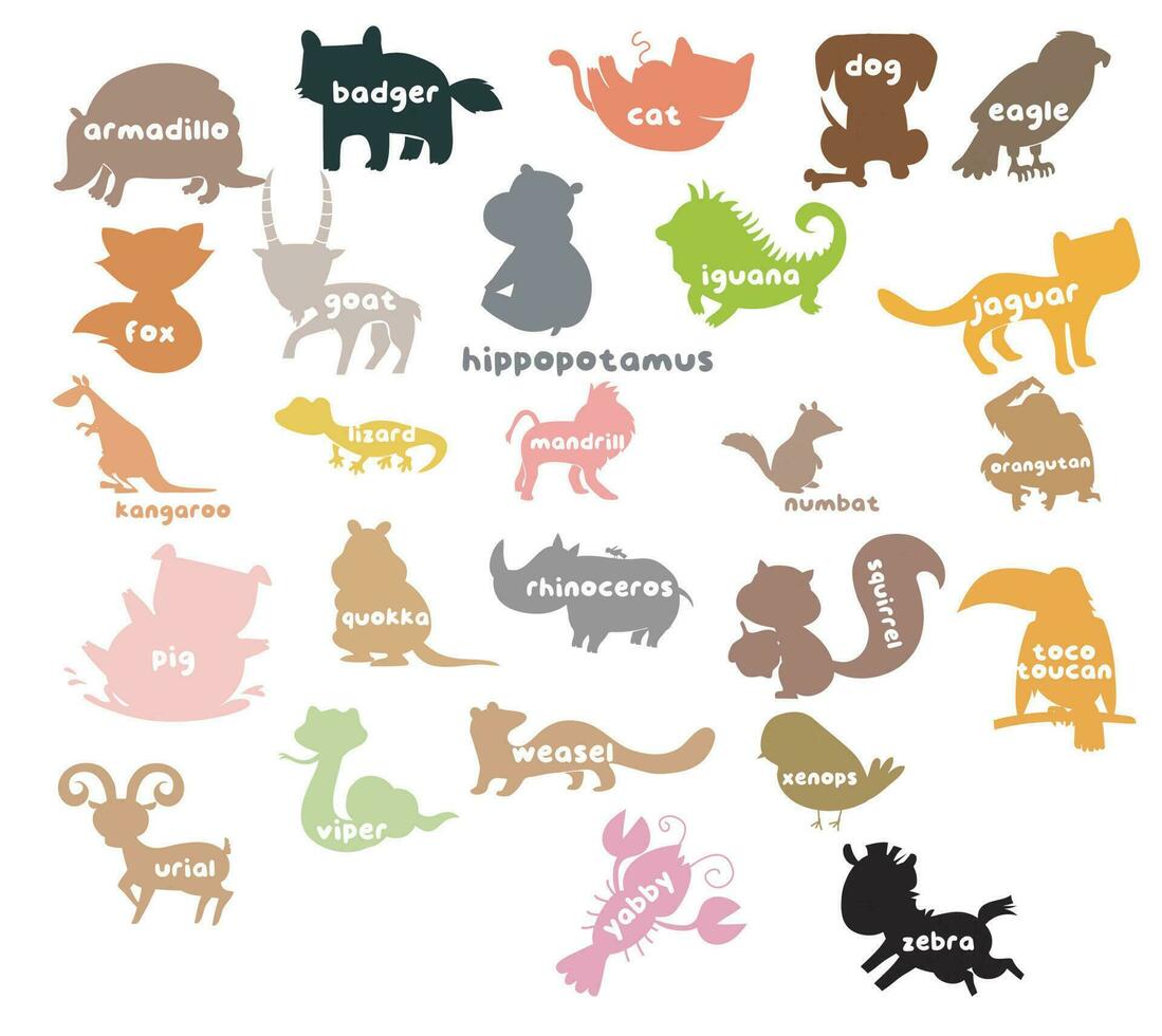 Animal alphabet flashcard. Educational printable flashcard. Vector illustrations.