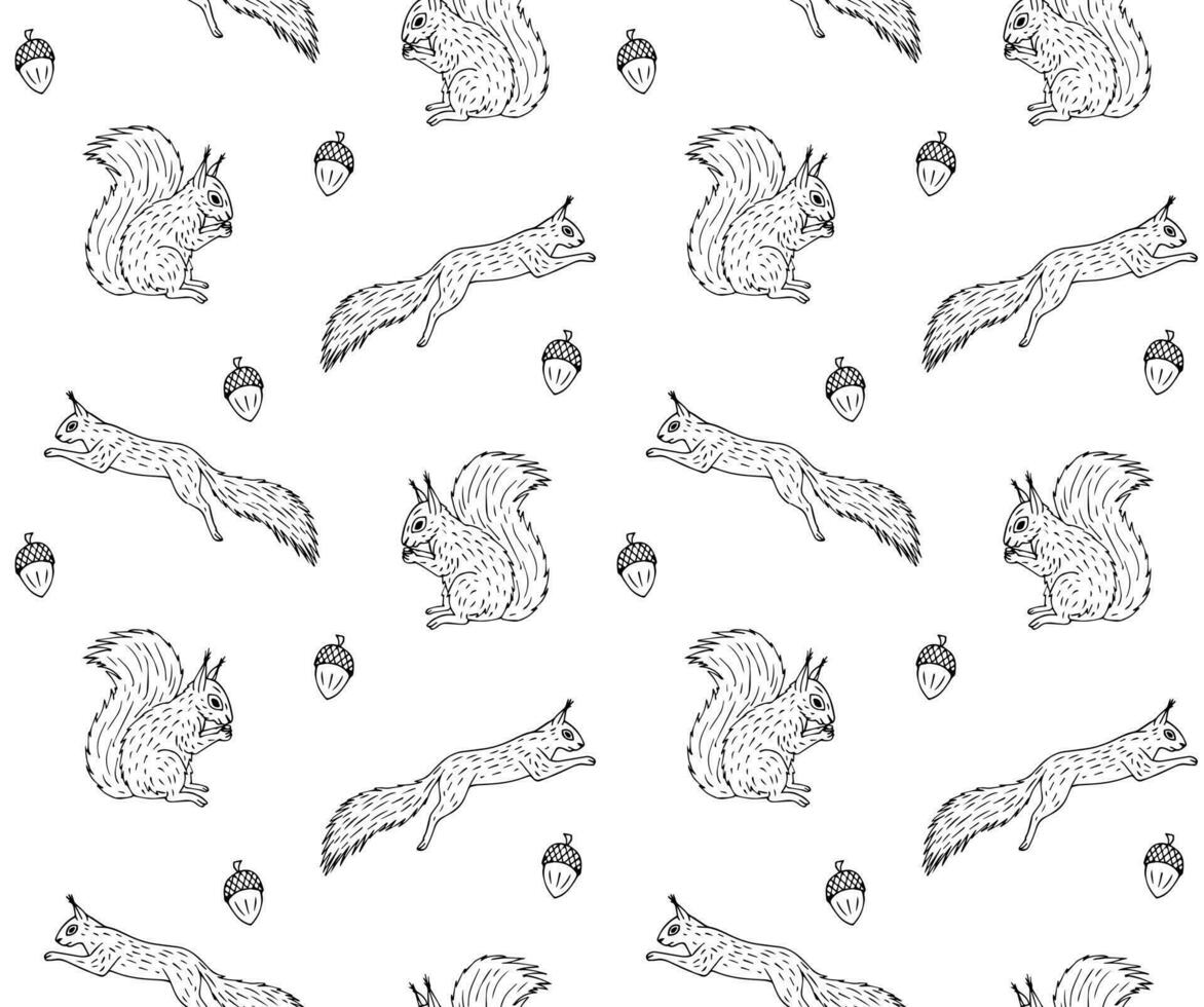 Seamless pattern of hand drawn squirrel vector