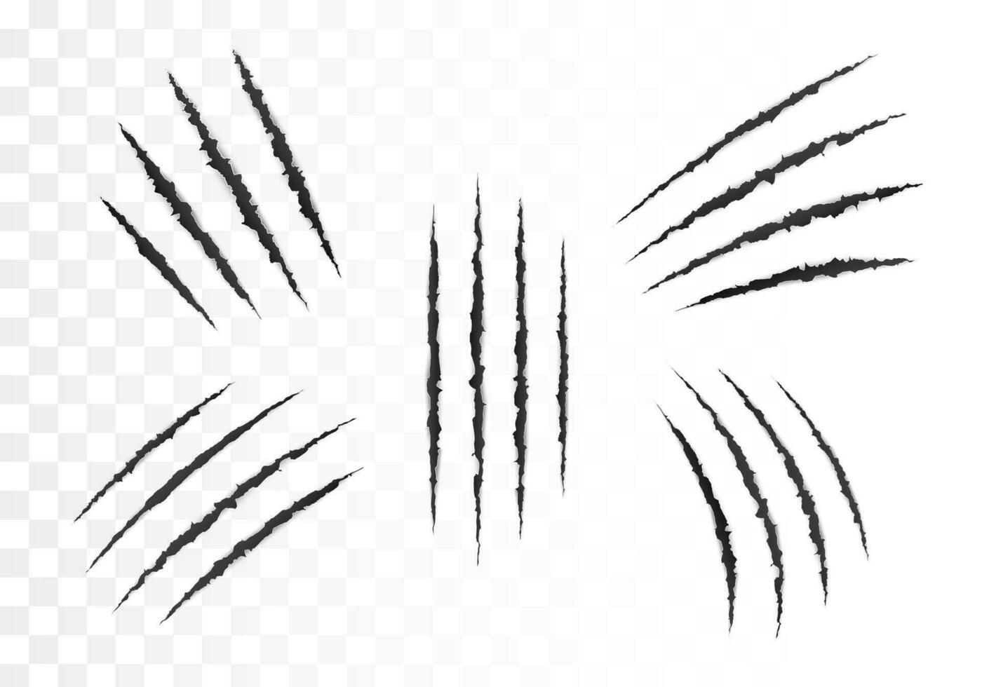 Scary laceration paper surface. Set of wild animal claws scratches. Torn paper edge. vector illustration