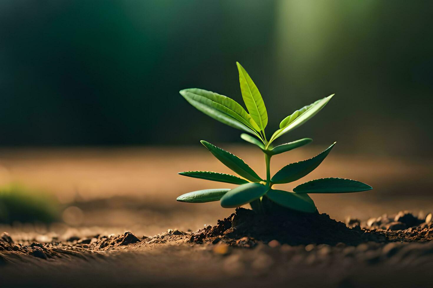 Young green plant growing in the soil. Concept of new life AI Generate photo