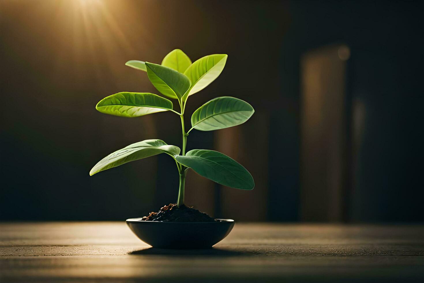 Young green plant in a pot on wooden table with books and sunlight AI Generate photo