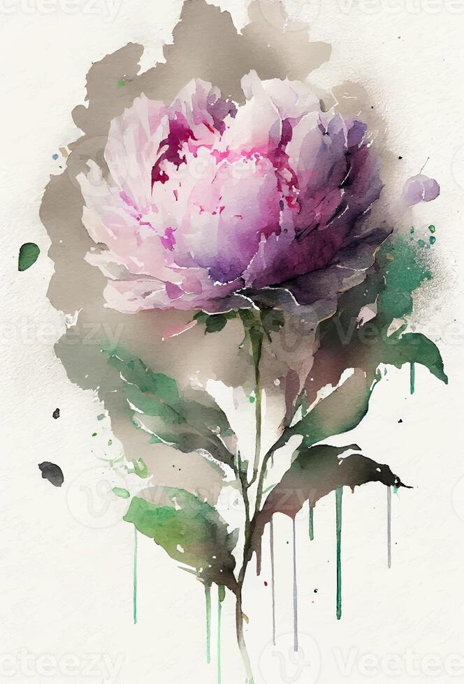 watercolor painting of peonies flowers. photo