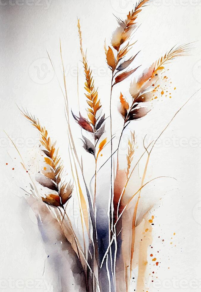 spikelets, rye, oats, wild flowers watercolor background for postcard photo