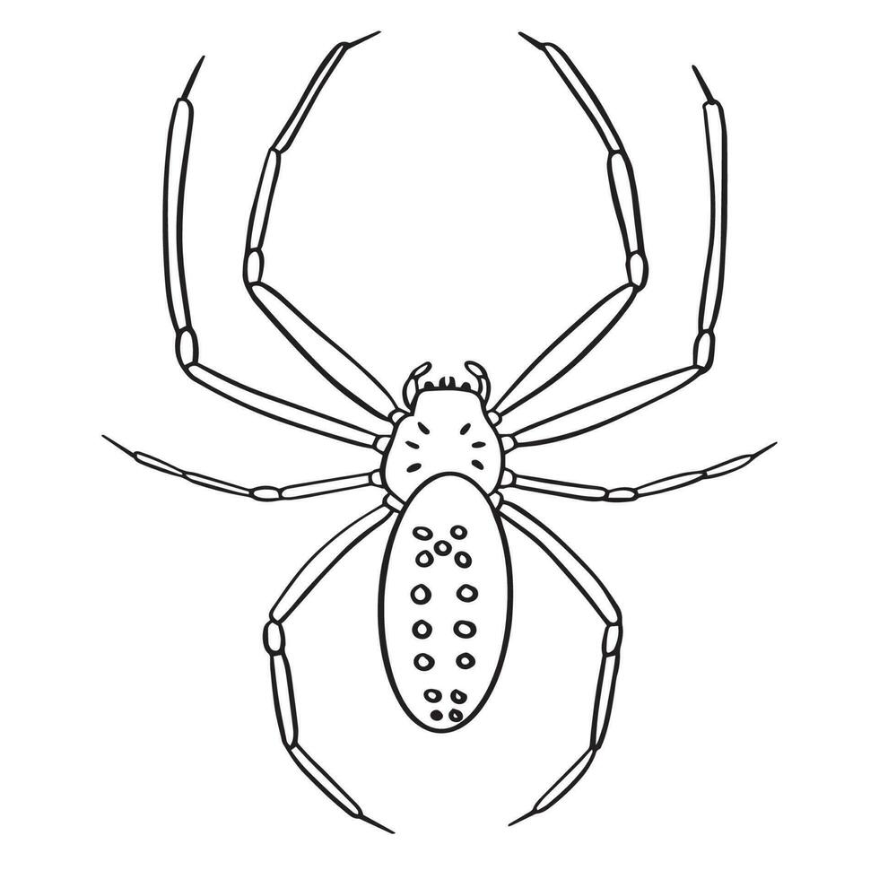 araña contorno Arte ,bien para gráfico diseño recursos, carteles, pancartas, plantillas, huellas dactilares, colorante libros y más. vector