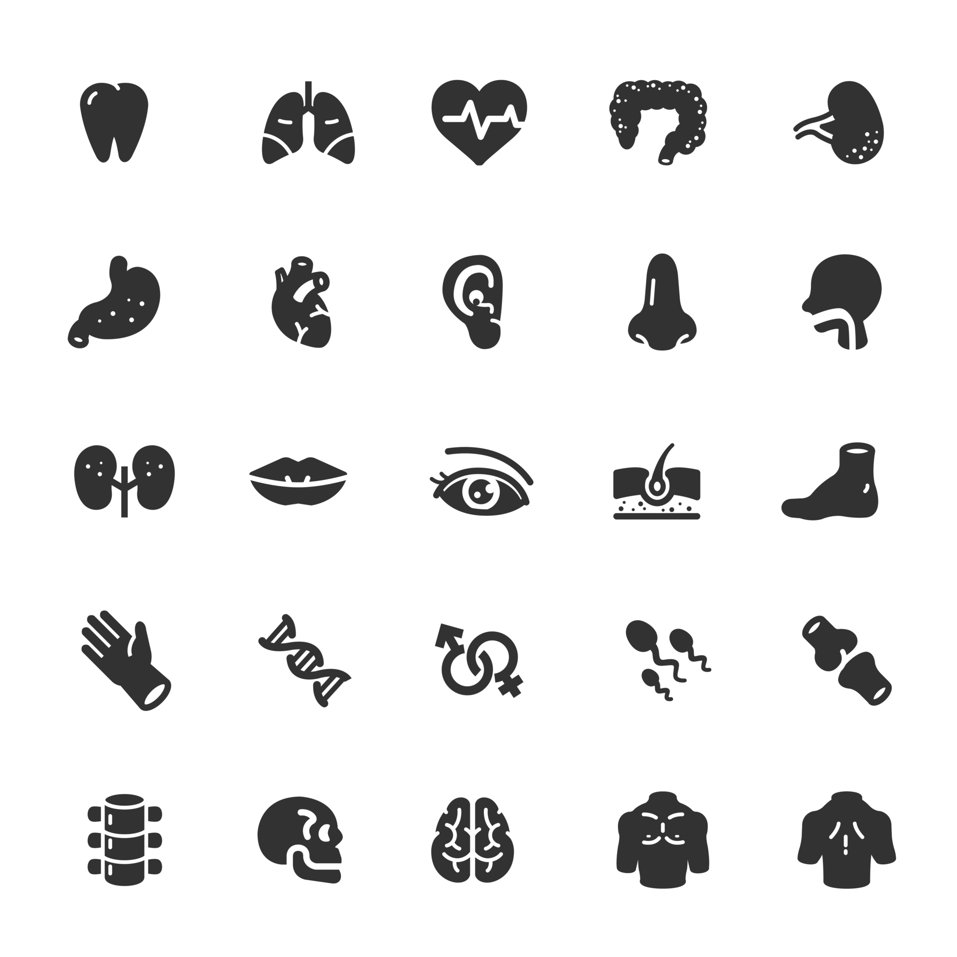 Icon set - Human Anatomy 23220419 PNG