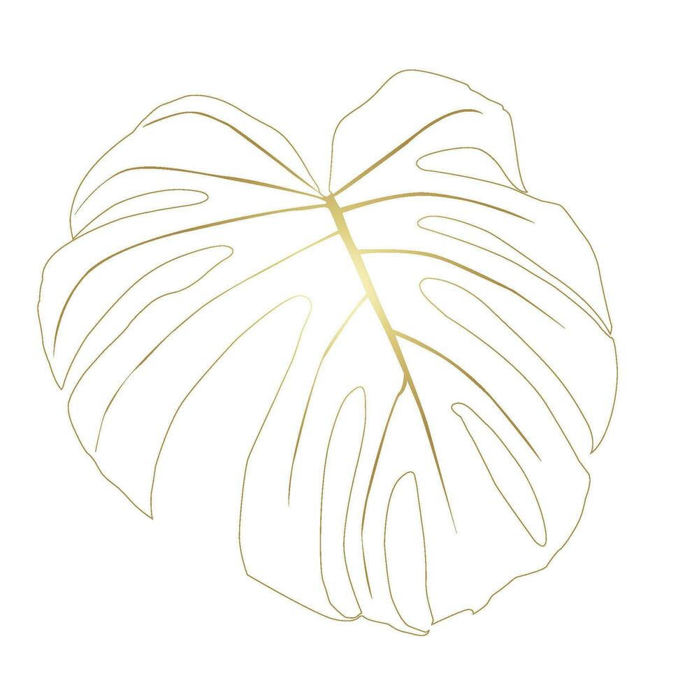 Monstera Deliciosa plant leaf from tropical forests isolated. Vector for greeting cards, flyers, invitations, web design