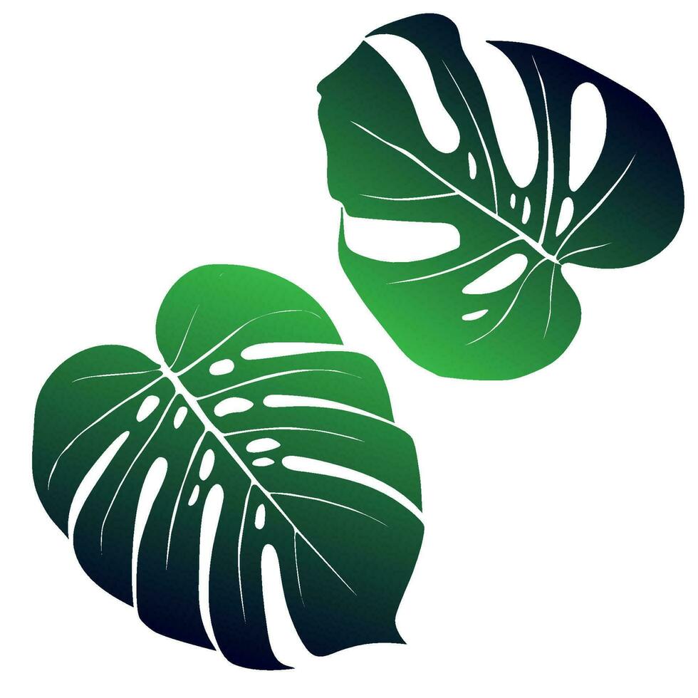 Monstera Deliciosa plant leaf from tropical forests isolated. Vector for greeting cards, flyers, invitations, web design
