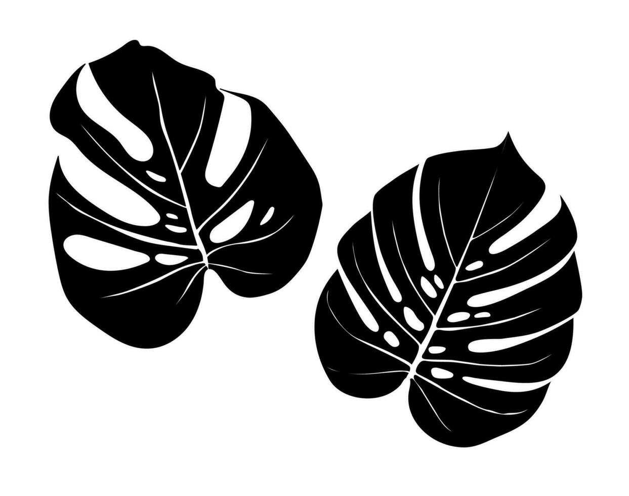 Monstera Deliciosa plant leaf from tropical forests isolated. Vector for greeting cards, flyers, invitations, web design