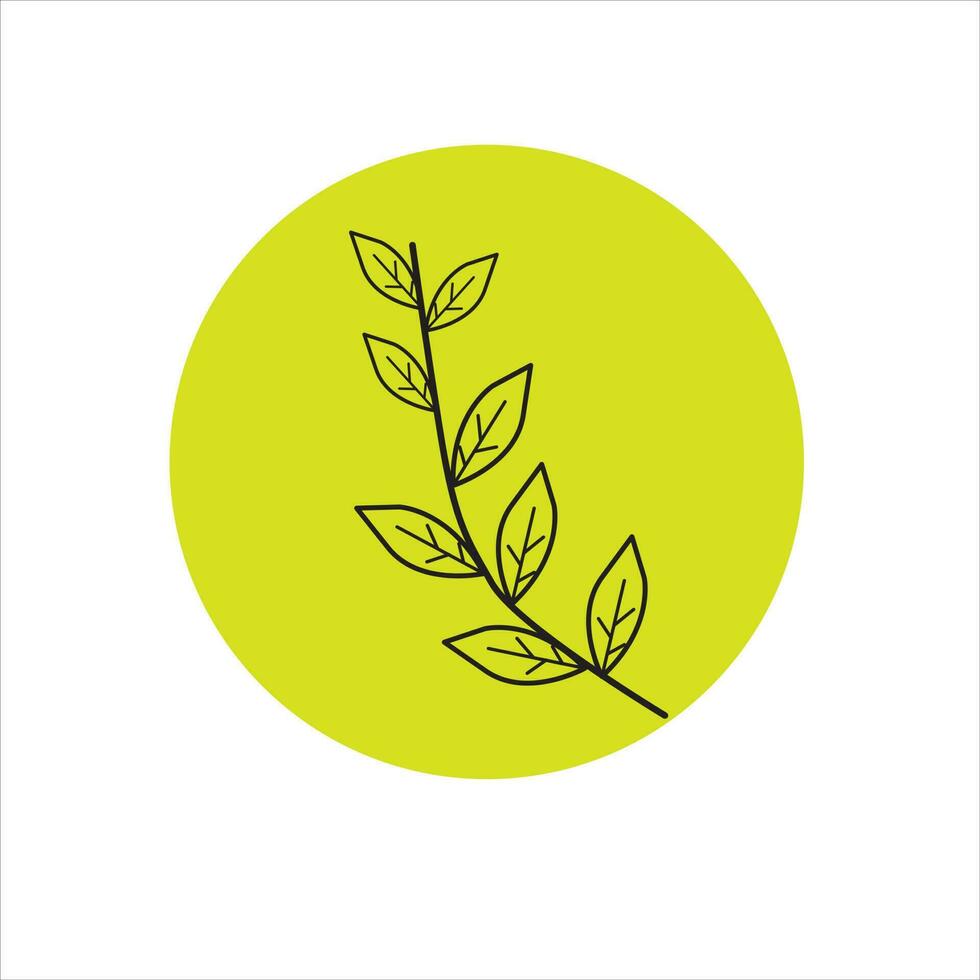 petioles on a light green background. vector
