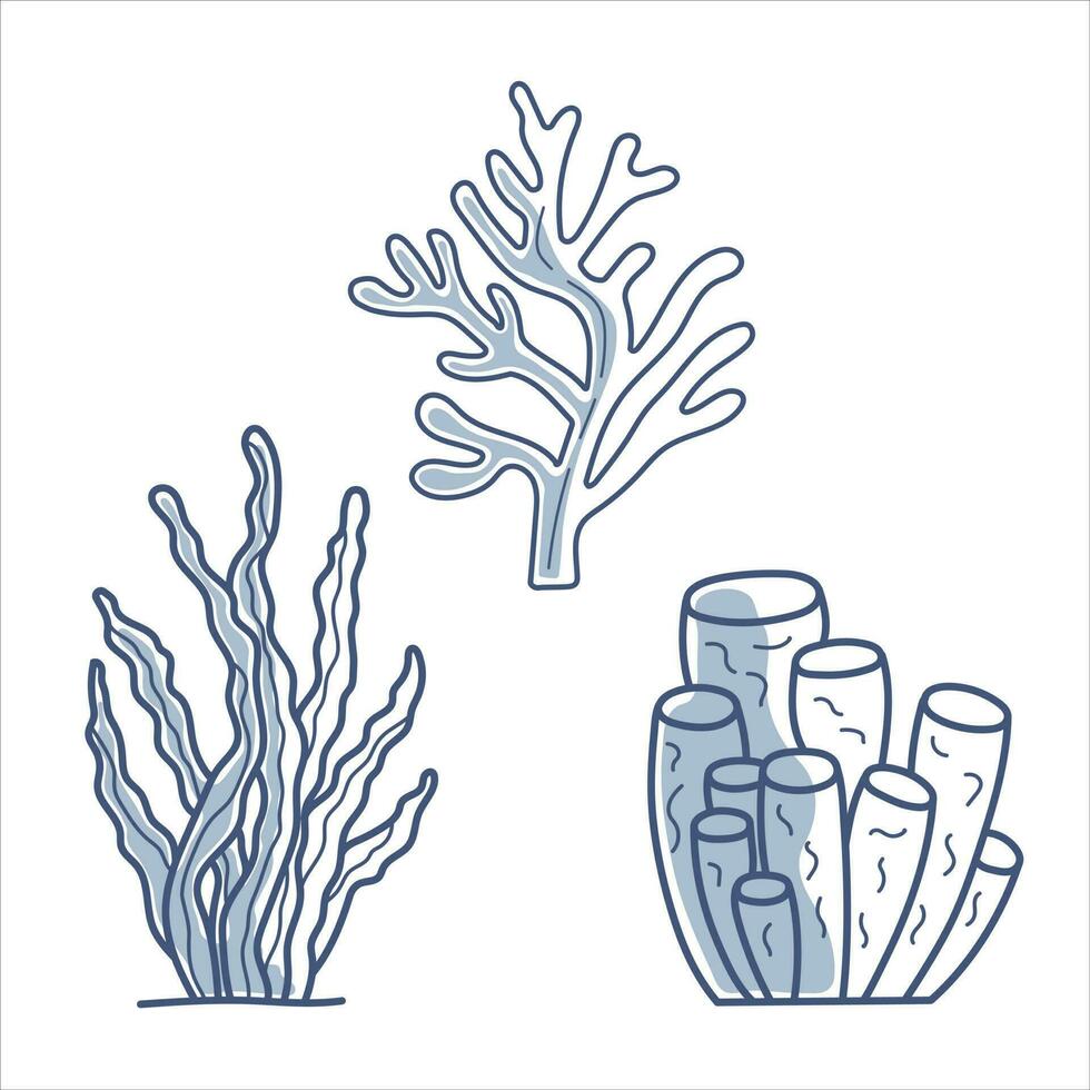 Set of 3 vector illustrations of sea seaweed blue line contour with partial filling.