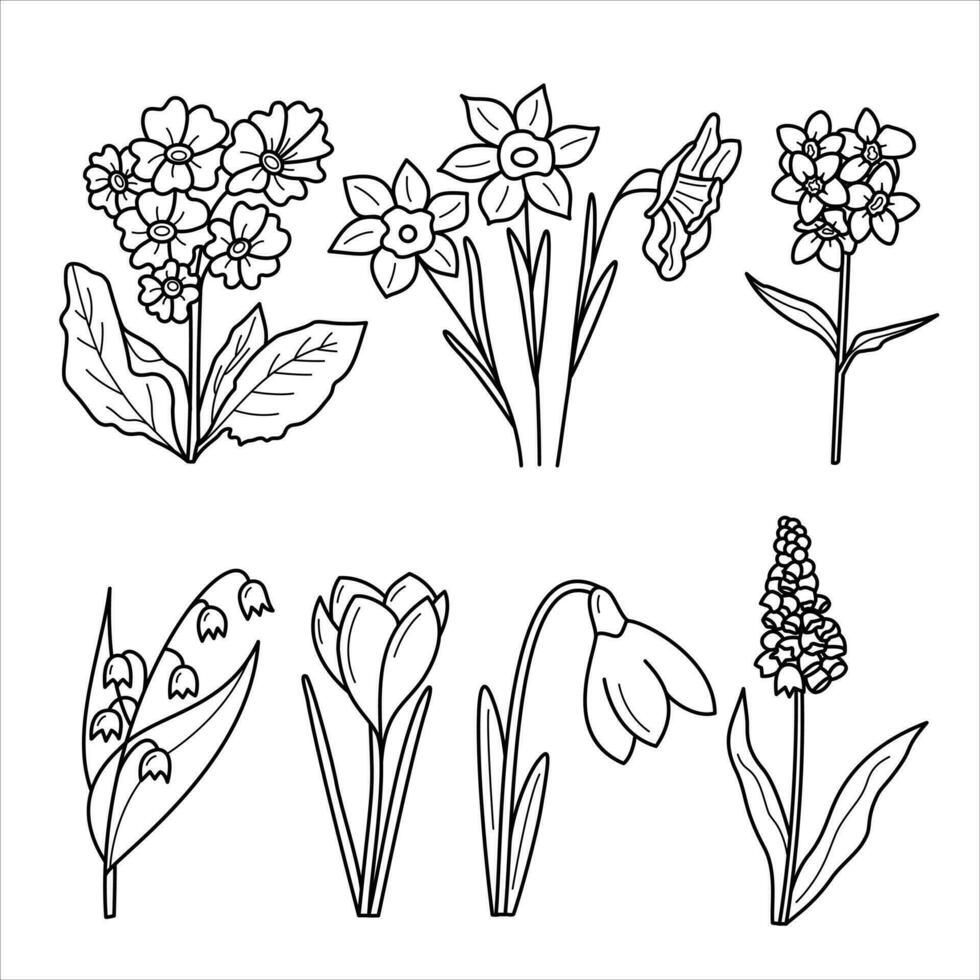 Set of vector isolated line spring flowers . Spring, summer, flowers theme.