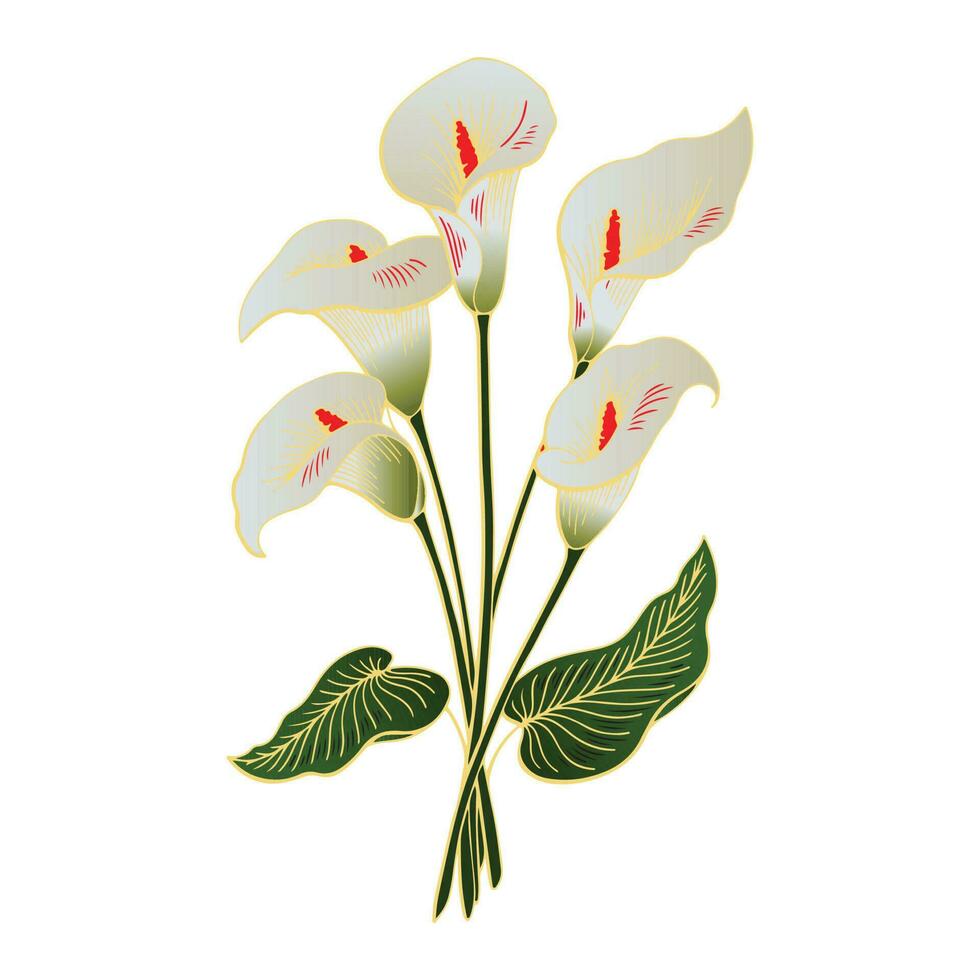 Callas flower graphic illustration vector gesign