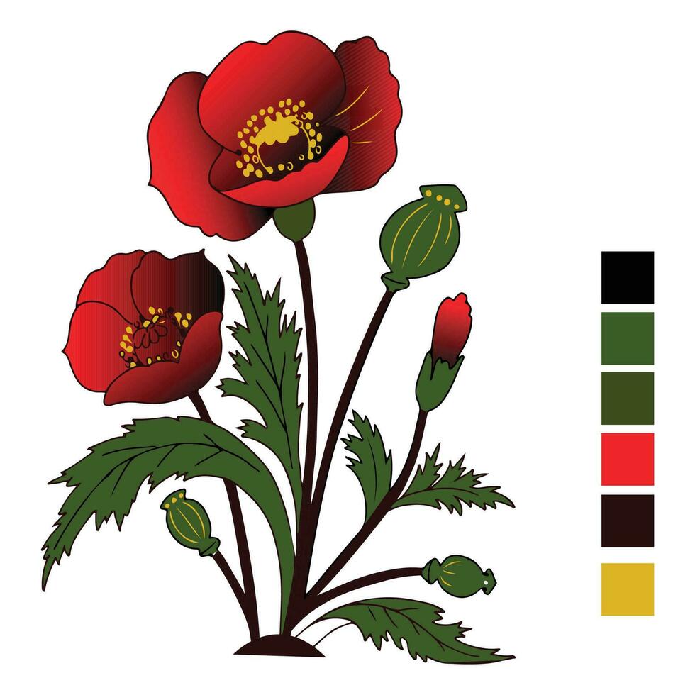 A drawing of a flower vector