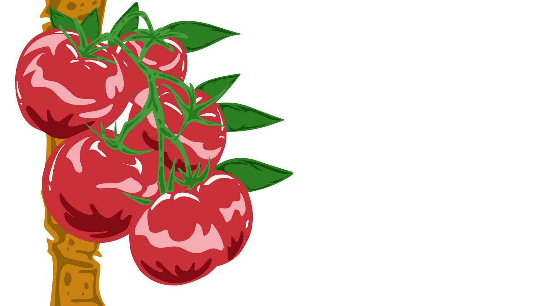 Background illustration of tomatoes vector