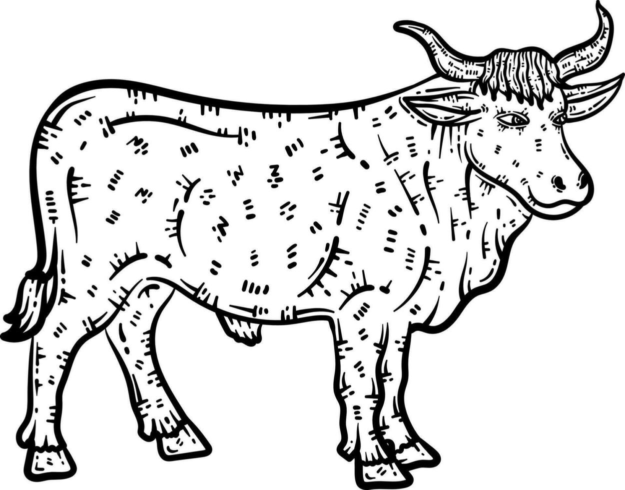 Ox Animal Coloring Page for Adults vector