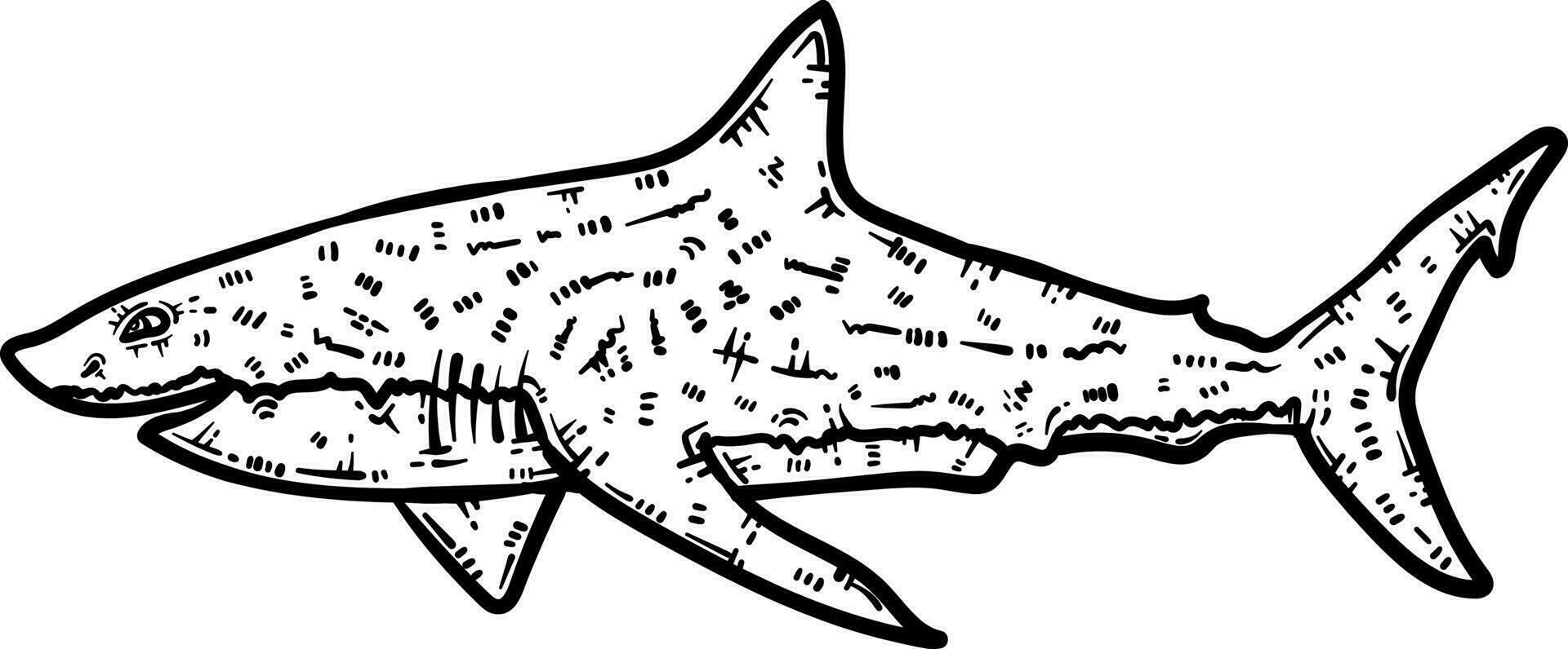 Shark Animal Coloring Page for Adults vector