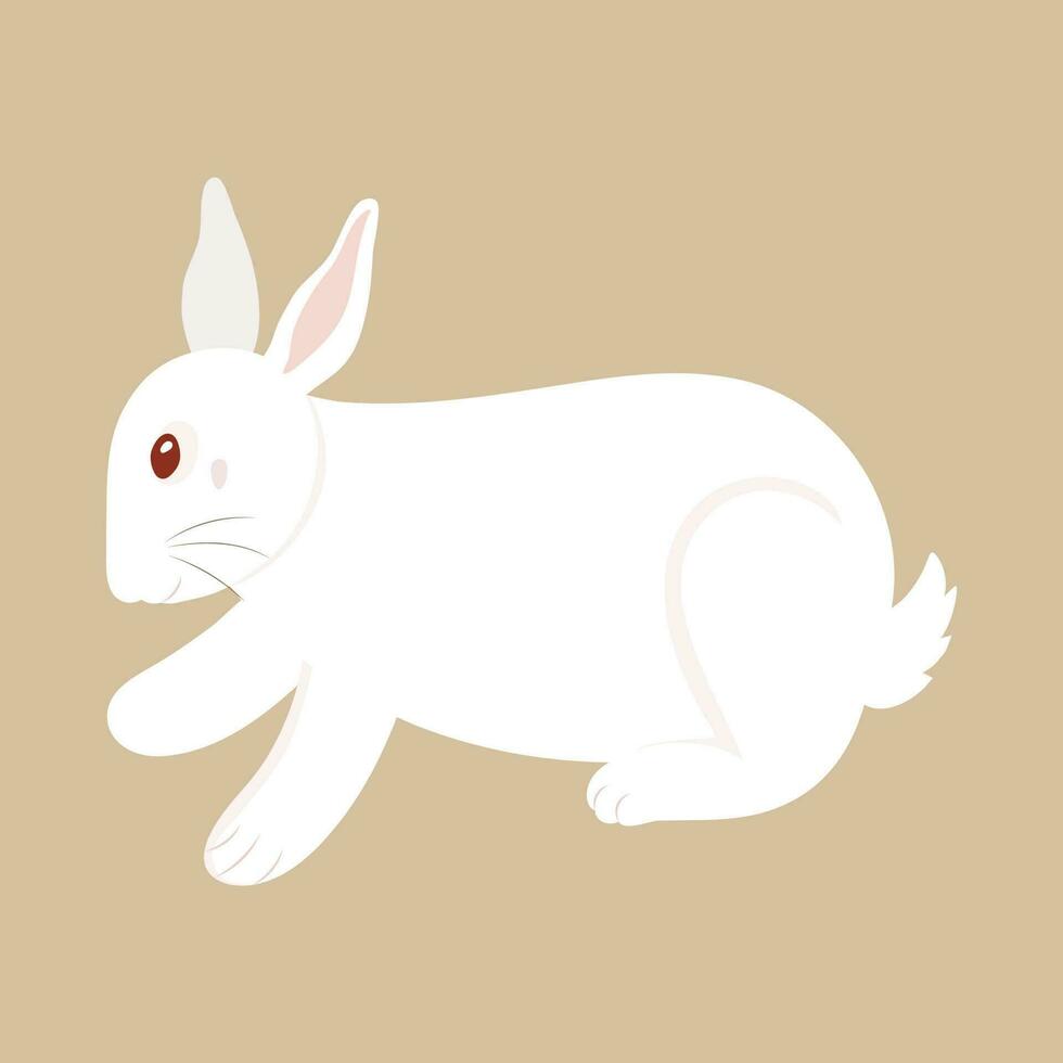 Illustration Of Cute Rabbit Character On Brown Background. vector