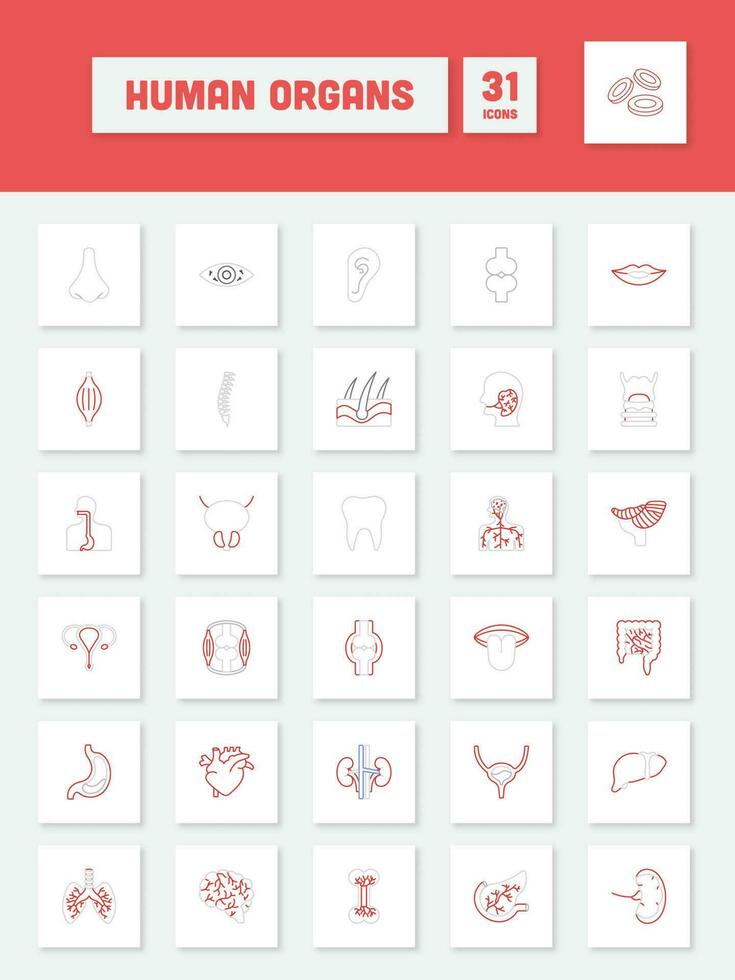 Grey And Red Linear Style Human Organ Square Icon Set. vector