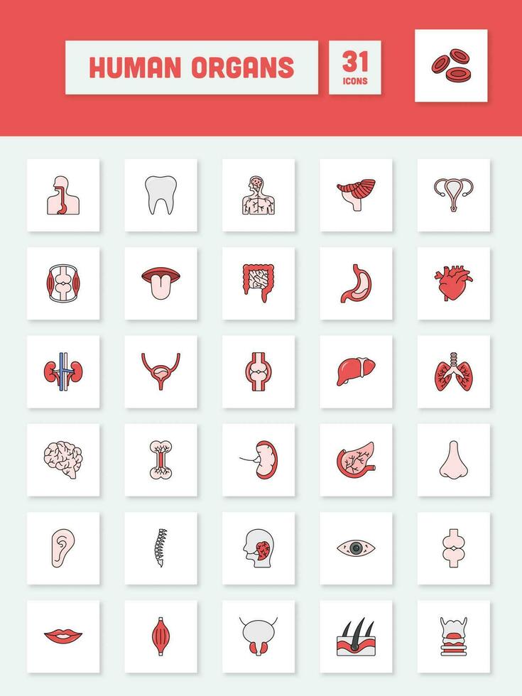 Colorful Human Organs Square Icon Set. vector