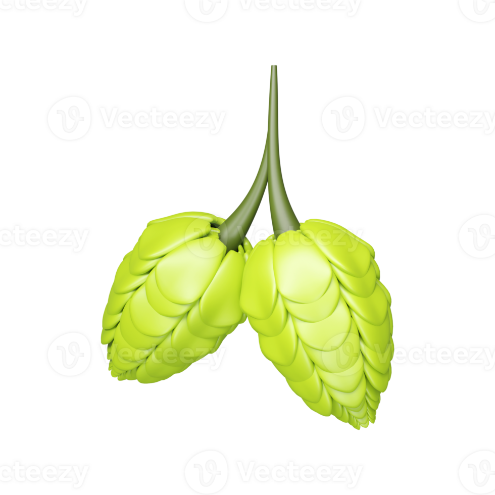Green Two Hops Bunch Stem Element In 3D Render. png