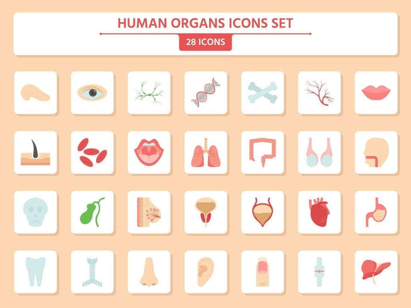 Set Of Human Organs Icons On Square Peach Background vector